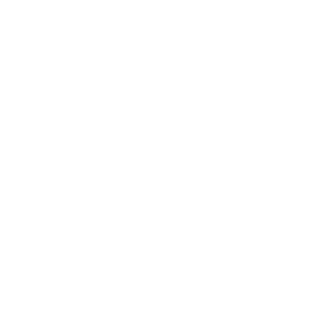 Media tiktok icon